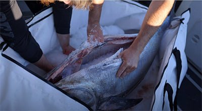 80x40'' Large Fish Cooler Kill Bag | YKK Zipper | Drain Plug | Closed-Cell Foam Insulation | Waterproof Tarpaulin | Heat-Sealed Fully Welded Seams