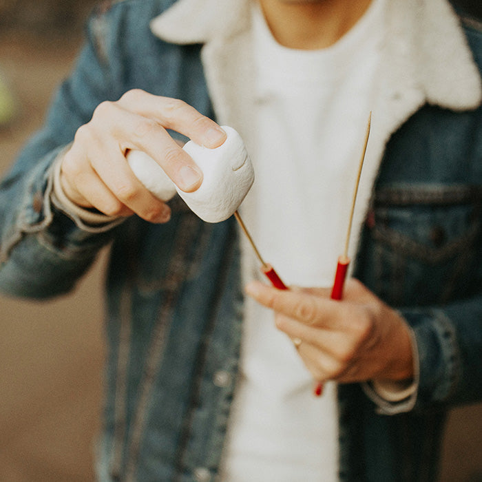 Portable Reusable Skewer 4 Pack